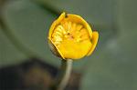 Dcim6853/DSC_1307
