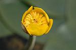 Dcim6853/DSC_1310