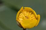 Dcim6853/DSC_1322