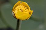 Dcim6853/DSC_1323