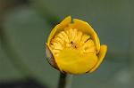 Dcim6853/DSC_1325