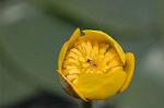 Dcim6853/DSC_1326