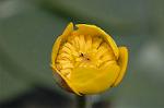 Dcim6853/DSC_1327