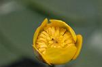 Dcim6853/DSC_1330