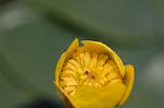 Dcim6853/DSC_1331
