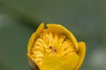 Dcim6853/DSC_1332