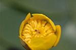 Dcim6853/DSC_1338