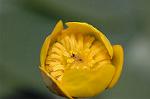 Dcim6853/DSC_1339