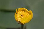 Dcim6853/DSC_1343