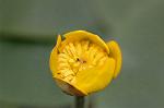 Dcim6853/DSC_1345