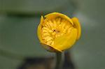 Dcim6853/DSC_1346