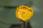 Dcim6853/DSC_1348