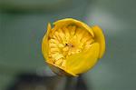 Dcim6853/DSC_1349