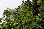 Dcim6854/DSC_6829