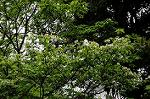 Dcim6854/DSC_6830
