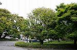 Dcim6855/DSC_7001