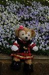 Dcim6856/DSC_7168