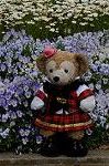 Dcim6856/DSC_7172