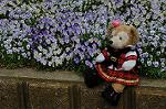 Dcim6856/DSC_7175