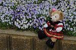 Dcim6856/DSC_7176