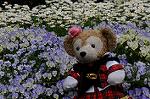 Dcim6856/DSC_7183
