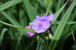 Dcim6856/DSC_7185