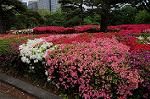 Dcim6856/DSC_7196