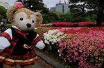 Dcim6856/DSC_7197