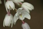Dcim6858/DSC_1469