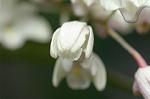 Dcim6858/DSC_1479