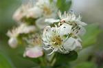 Dcim6859/DSC_1565