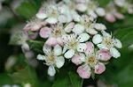 Dcim6859/DSC_1573