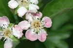 Dcim6859/DSC_1578
