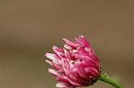Dcim6860/DSC_1640