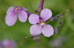 Dcim6860/DSC_1743