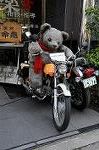 Dcim6867/DSC_7923