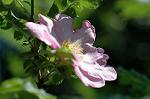 Dcim6868/DSC_1745