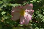 Dcim6868/DSC_1747
