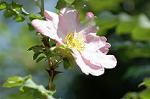 Dcim6868/DSC_1749
