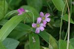 Dcim6868/DSC_1752