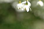 Dcim6868/DSC_1757