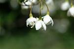 Dcim6868/DSC_1760