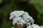 Dcim6868/DSC_1808