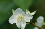 Dcim6868/DSC_1823