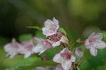 Dcim6868/DSC_1843