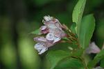 Dcim6868/DSC_1845