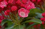 Dcim6869/DSC_1884