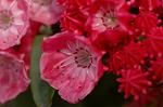 Dcim6869/DSC_1895