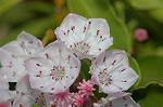 Dcim6869/DSC_1901