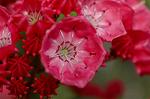 Dcim6869/DSC_1902